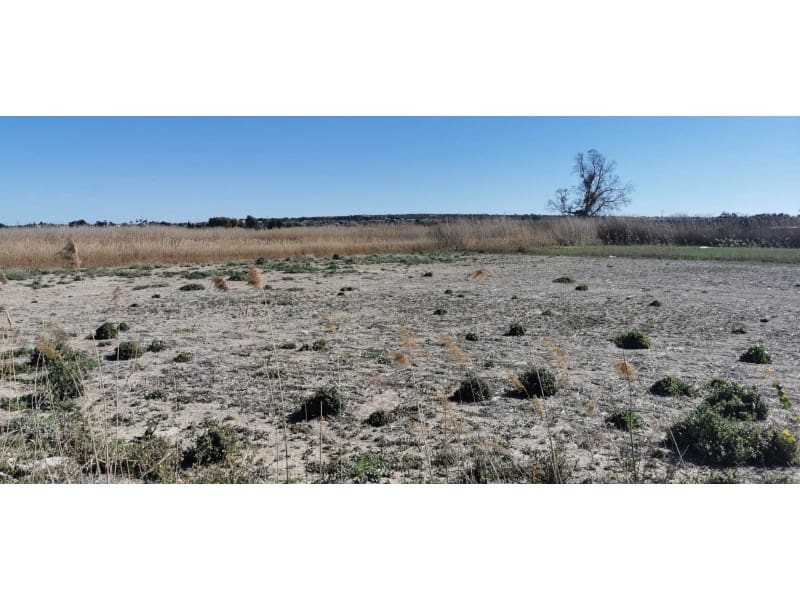 Grunde uden byggetilladelser til salg i La Marina - € 25.000 (Ref: 9922673)