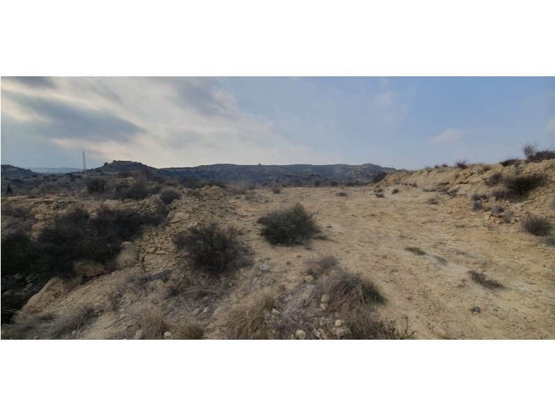 Undeveloped Land for sale in Aspe - € 103,000 (Ref: 9922674)