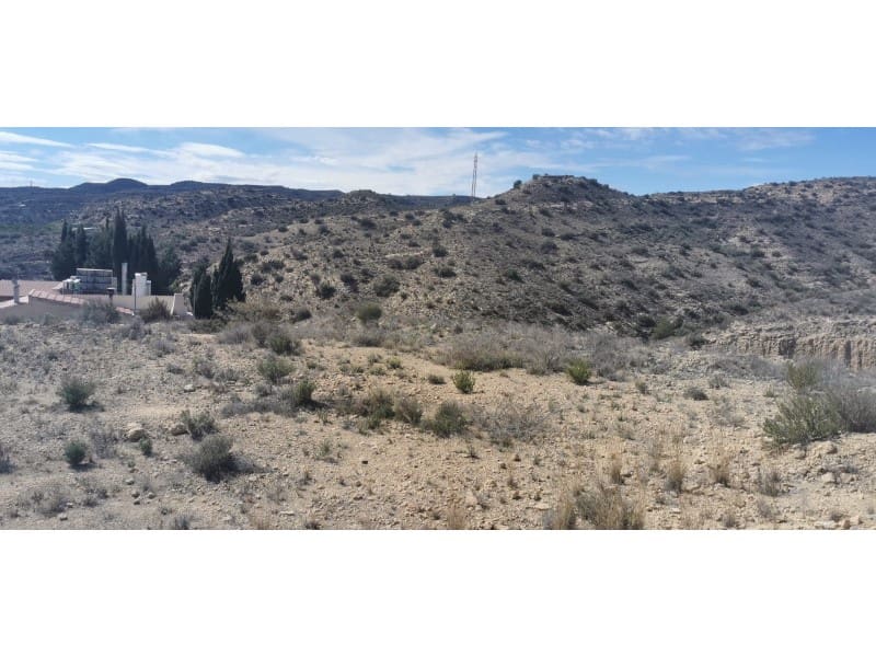 Undeveloped Land for sale in Aspe - € 103,000 (Ref: 9922674)