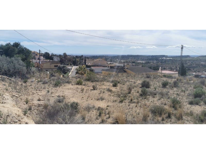 Undeveloped Land for sale in Aspe - € 103,000 (Ref: 9922674)