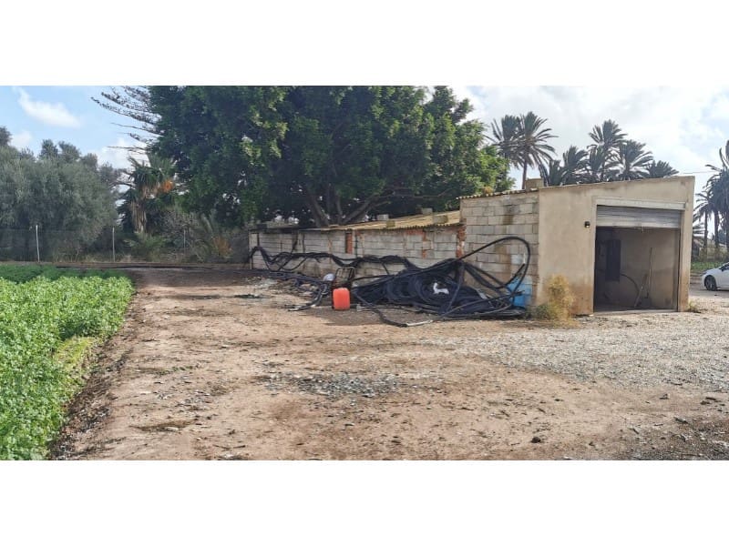 4 soveværelse Finca/Landehus til salg i Elche / Elx - € 300.000 (Ref: 9922675)