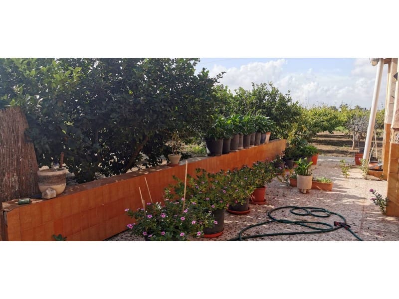 4 soveværelse Finca/Landehus til salg i Elche / Elx - € 300.000 (Ref: 9922675)