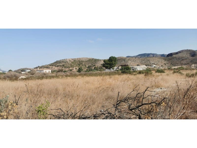 Undeveloped Land for sale in Benferri - € 48,000 (Ref: 9922676)