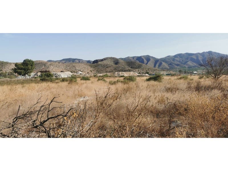 Undeveloped Land for sale in Benferri - € 48,000 (Ref: 9922676)
