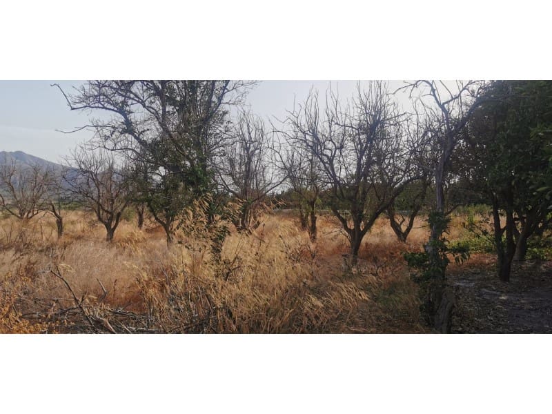Undeveloped Land for sale in Benferri - € 48,000 (Ref: 9922676)