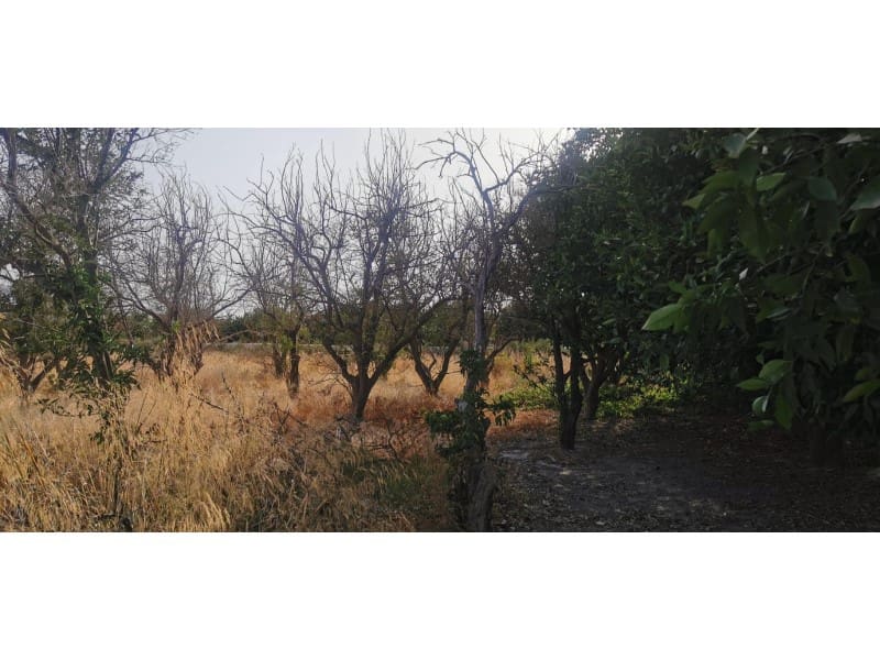 Undeveloped Land for sale in Benferri - € 48,000 (Ref: 9922676)