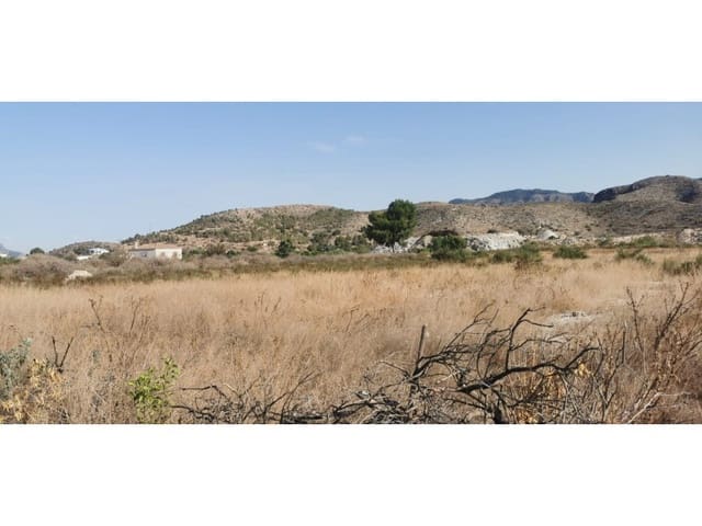 Terreno Non Edificato in vendita in Benferri - 48.000 € (Rif: 9922676)