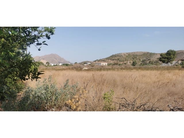 Terreno Non Edificato in vendita in Benferri - 48.000 € (Rif: 9922676)