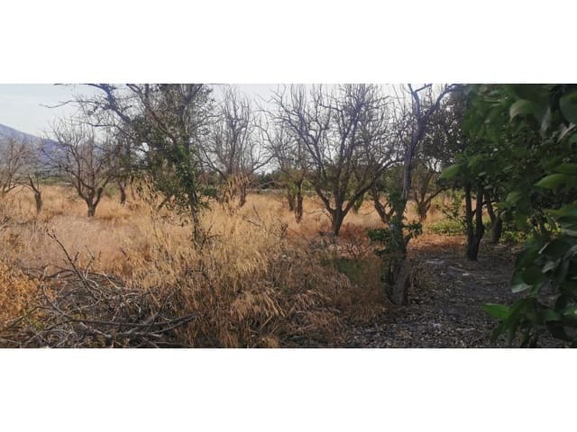 Terreno Non Edificato in vendita in Benferri - 48.000 € (Rif: 9922676)