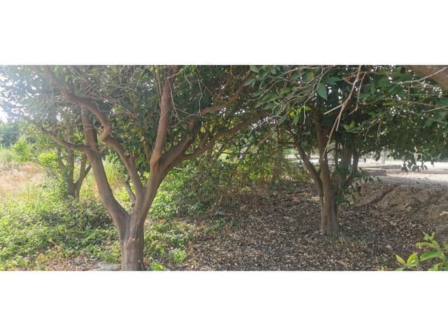 Terreno Non Edificato in vendita in Benferri - 48.000 € (Rif: 9922676)