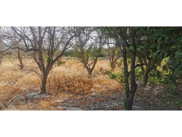 Terreno Non Edificato in vendita in Benferri - 48.000 € (Rif: 9922676)