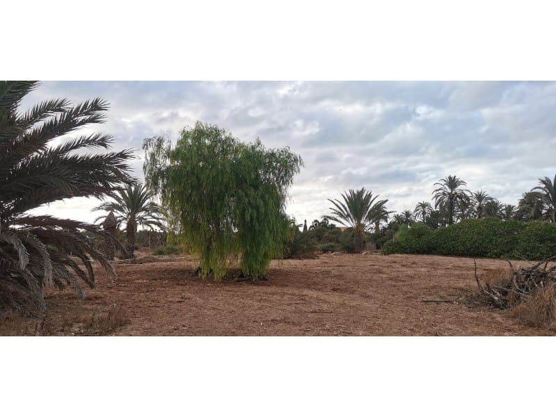 Undeveloped Land for sale in La Marina - € 143,000 (Ref: 9922677)