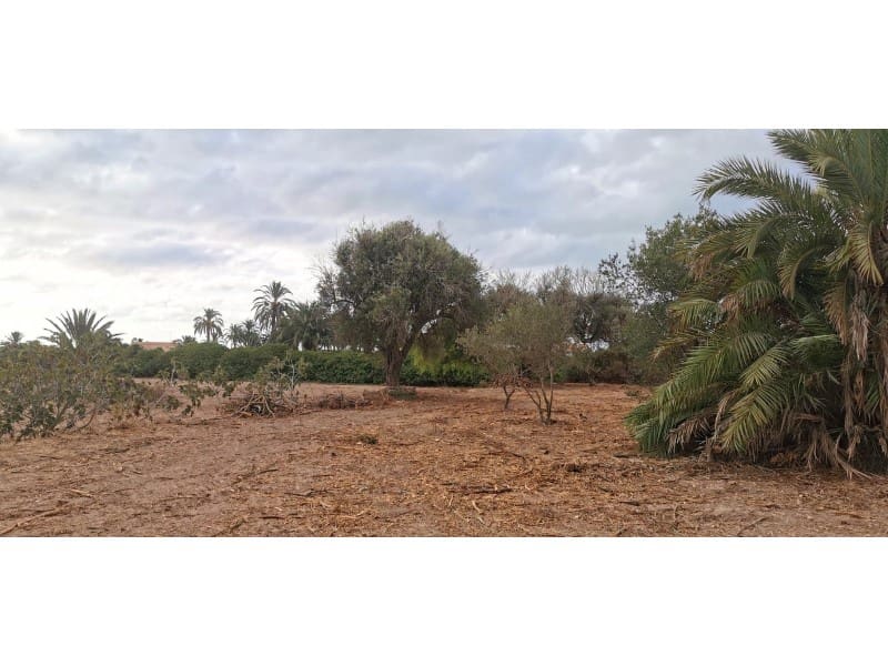 Undeveloped Land for sale in La Marina - € 143,000 (Ref: 9922677)