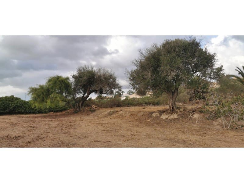 Undeveloped Land for sale in La Marina - € 143,000 (Ref: 9922677)