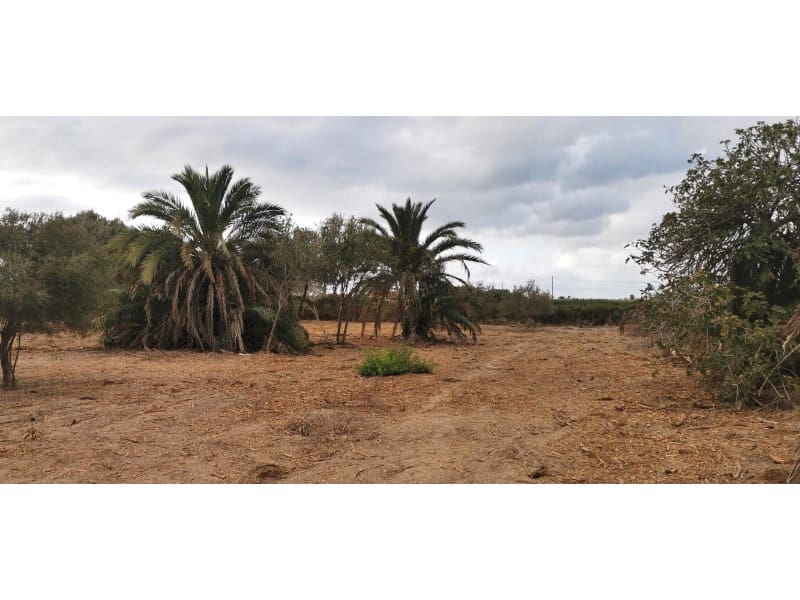 Undeveloped Land for sale in La Marina - € 143,000 (Ref: 9922677)
