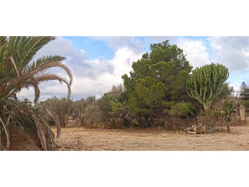 Undeveloped Land for sale in La Marina - € 143,000 (Ref: 9922677)