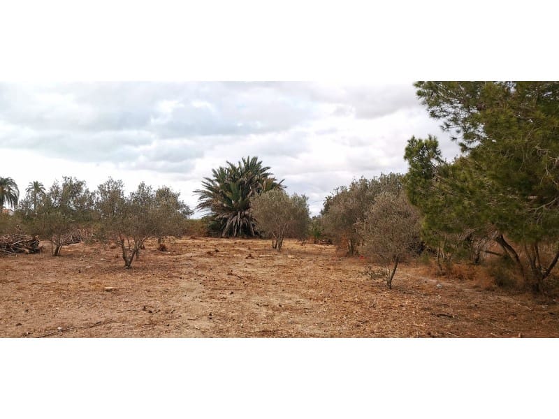 Undeveloped Land for sale in La Marina - € 143,000 (Ref: 9922677)