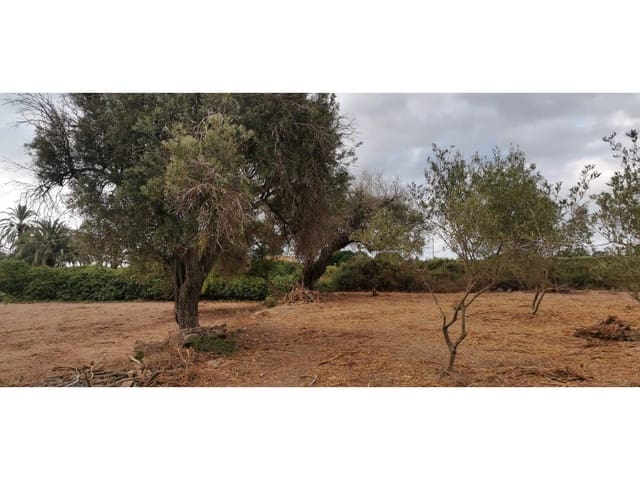 Undeveloped Land for sale in La Marina, Elche / Elx - € 143,000 (Ref: 9922677)