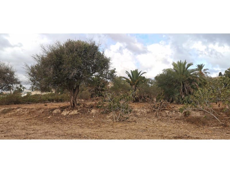Undeveloped Land for sale in La Marina - € 143,000 (Ref: 9922677)