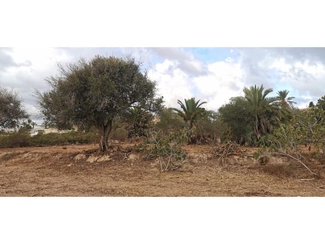 Undeveloped Land for sale in La Marina, Elche / Elx - € 143,000 (Ref: 9922677)