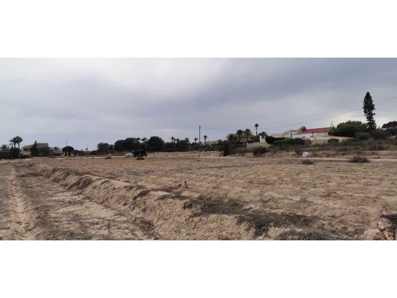 Undeveloped Land for sale in La Marina - € 228,000 (Ref: 9922678)