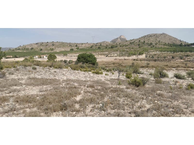 Terreno Non Edificato in vendita in Salinas - 105.000 € (Rif: 9922679)