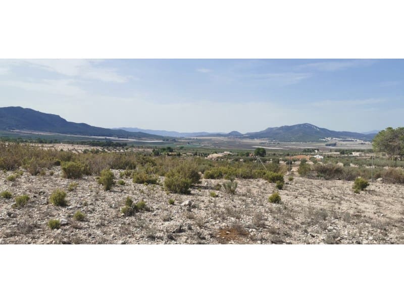 Terreno Non Edificato in vendita in Salinas - 105.000 € (Rif: 9922679)
