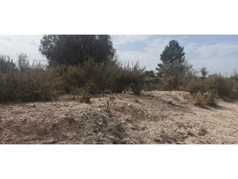 Terreno Non Edificato in vendita in Salinas - 105.000 € (Rif: 9922679)