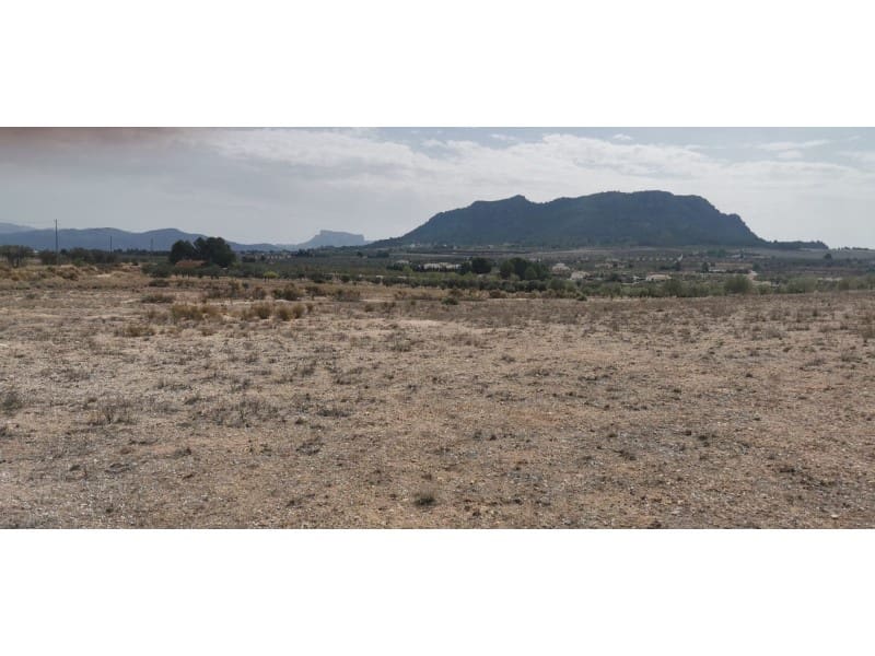Terreno Non Edificato in vendita in Salinas - 105.000 € (Rif: 9922679)