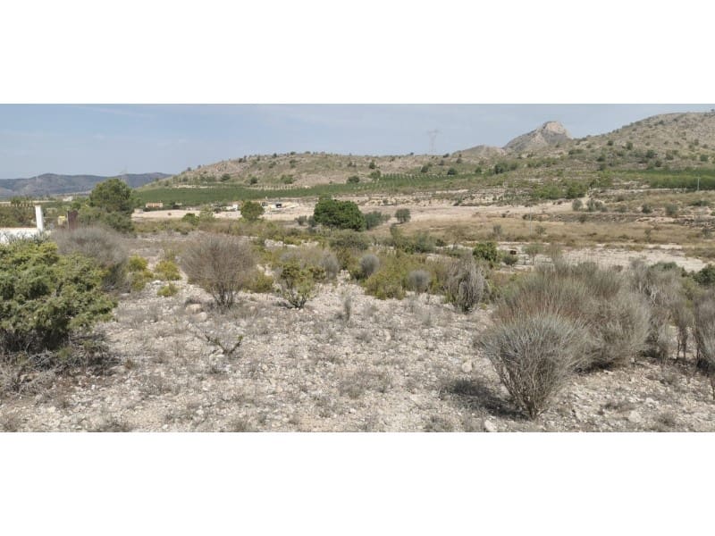 Terreno Non Edificato in vendita in Salinas - 105.000 € (Rif: 9922679)