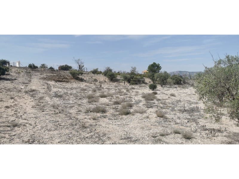 Terreno Non Edificato in vendita in Salinas - 105.000 € (Rif: 9922679)