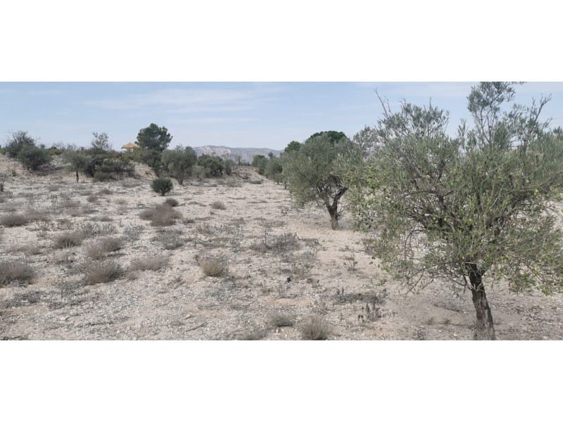 Terreno Non Edificato in vendita in Salinas - 105.000 € (Rif: 9922679)