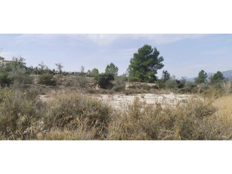 Terreno Non Edificato in vendita in Salinas - 105.000 € (Rif: 9922679)