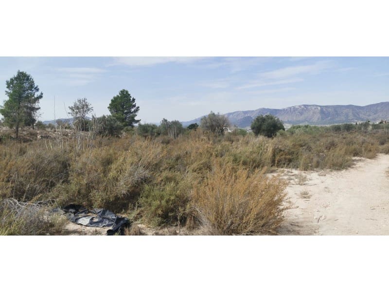 Terreno Non Edificato in vendita in Salinas - 105.000 € (Rif: 9922679)