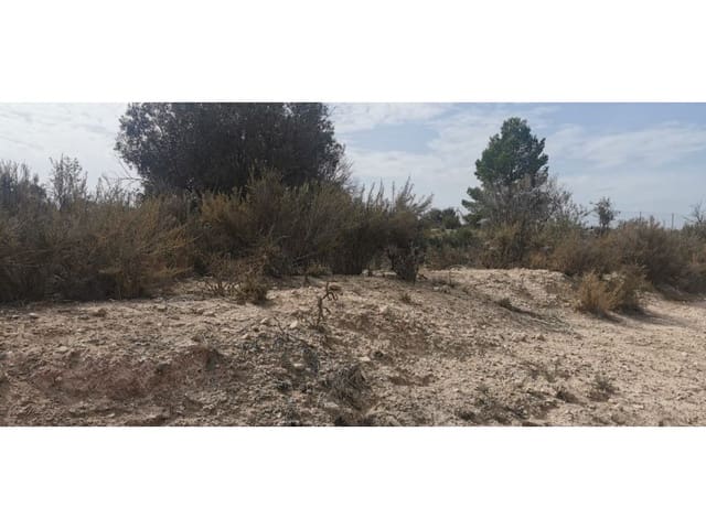 Undeveloped Land for sale in Salinas - € 105,000 (Ref: 9922679)