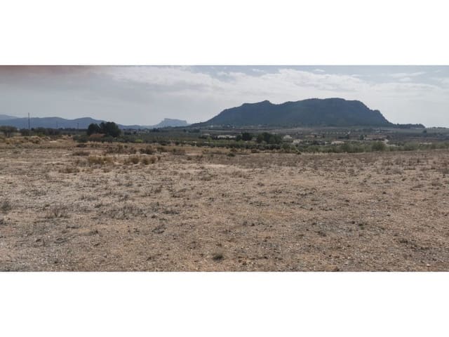 Undeveloped Land for sale in Salinas - € 105,000 (Ref: 9922679)