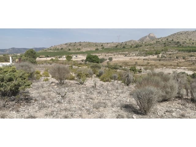 Undeveloped Land for sale in Salinas - € 105,000 (Ref: 9922679)