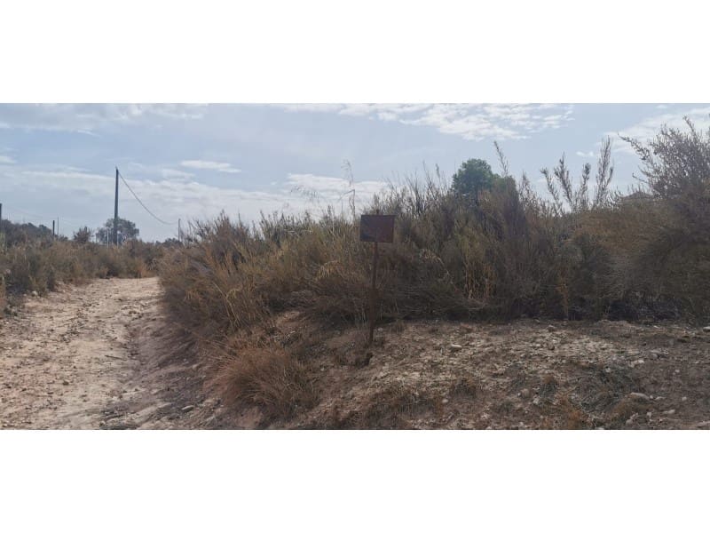 Terreno Non Edificato in vendita in Salinas - 105.000 € (Rif: 9922679)