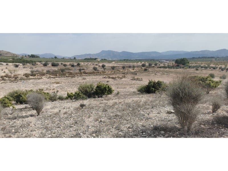 Terreno Non Edificato in vendita in Salinas - 105.000 € (Rif: 9922679)