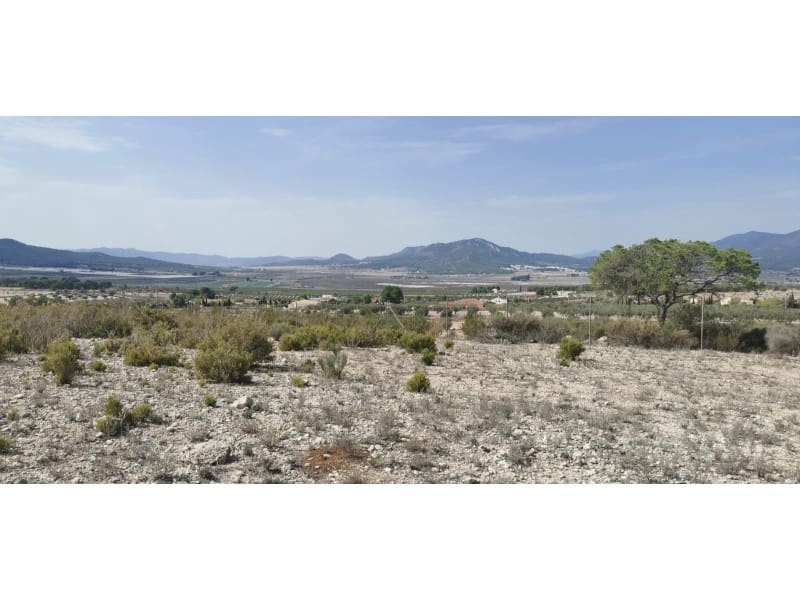 Terreno Non Edificato in vendita in Salinas - 105.000 € (Rif: 9922679)