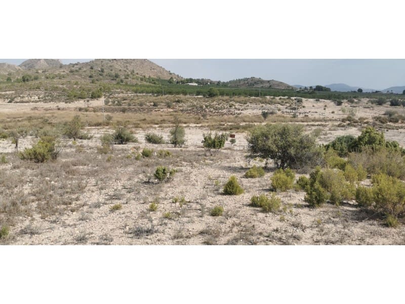 Terreno Non Edificato in vendita in Salinas - 105.000 € (Rif: 9922679)