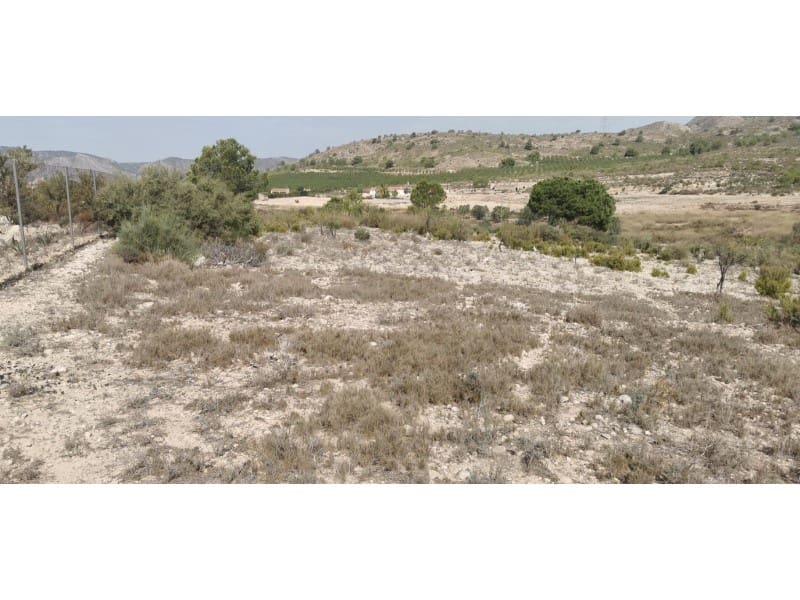 Terreno Non Edificato in vendita in Salinas - 105.000 € (Rif: 9922679)