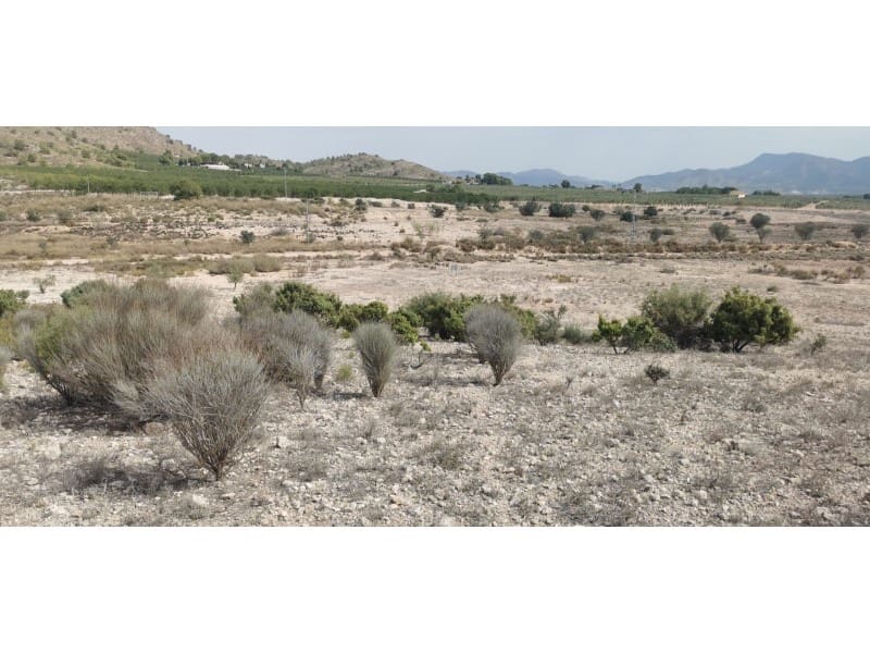Terreno Non Edificato in vendita in Salinas - 105.000 € (Rif: 9922679)