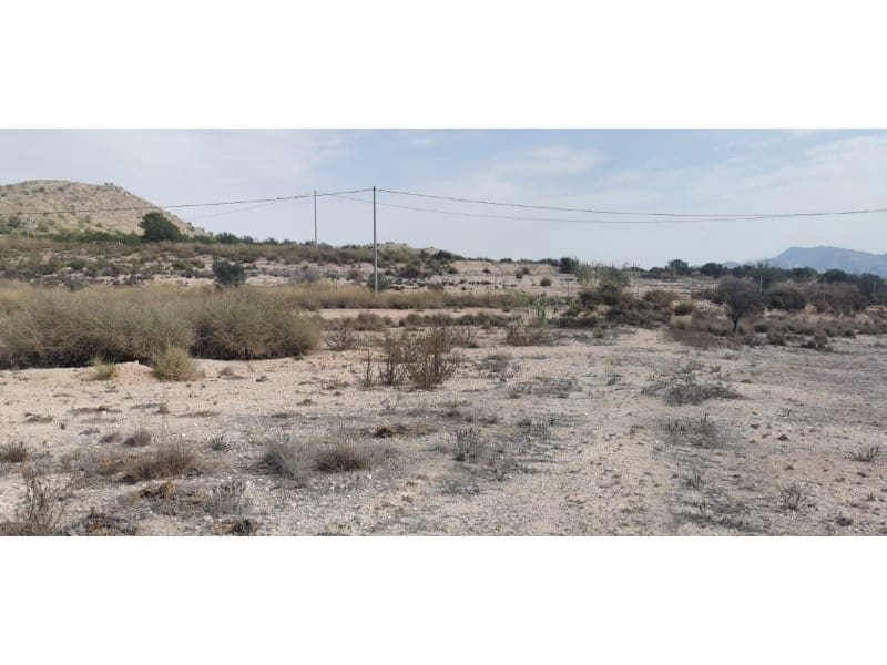 Terreno Non Edificato in vendita in Salinas - 105.000 € (Rif: 9922679)