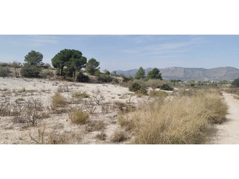 Terreno Non Edificato in vendita in Salinas - 105.000 € (Rif: 9922679)