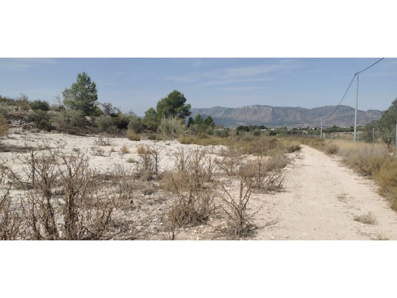 Terreno Non Edificato in vendita in Salinas - 105.000 € (Rif: 9922679)