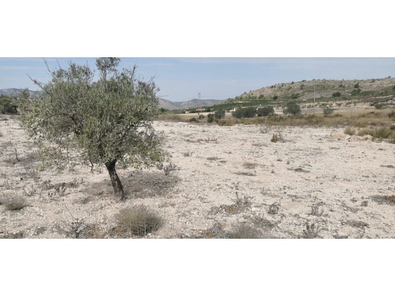 Terreno Non Edificato in vendita in Salinas - 105.000 € (Rif: 9922679)