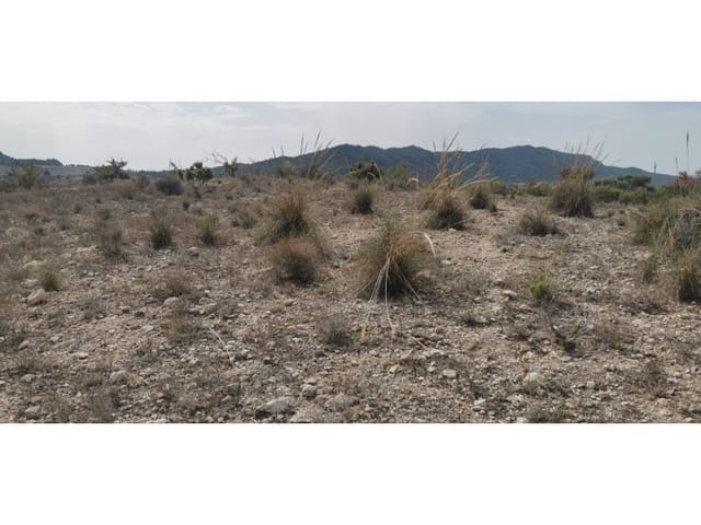 Undeveloped Land for sale in Salinas - € 105,000 (Ref: 9922679)