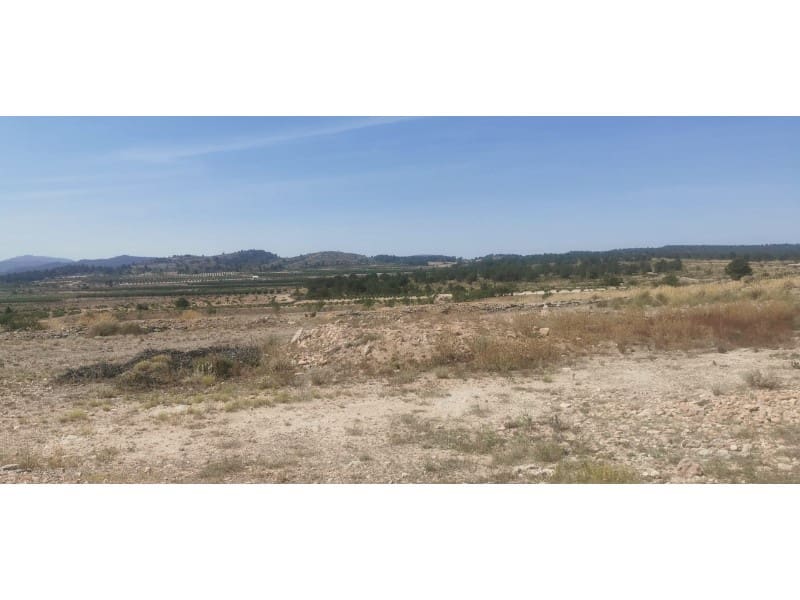 Grunde uden byggetilladelser til salg i Pinoso - € 55.000 (Ref: 9922680)