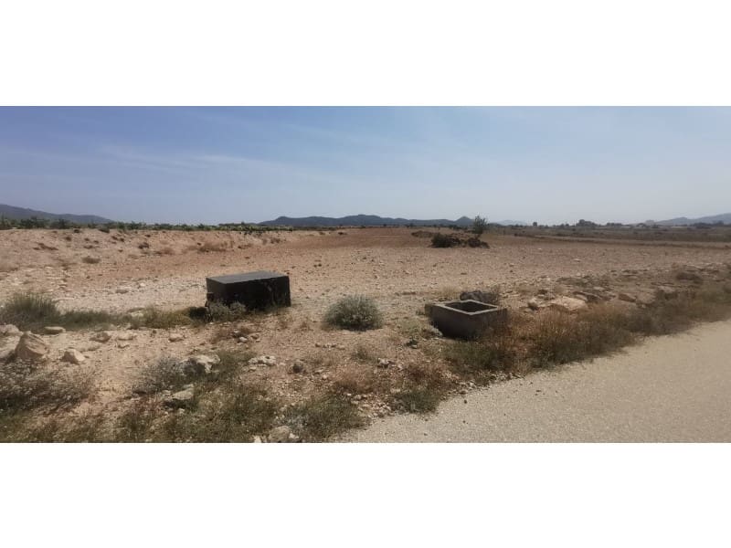 Grunde uden byggetilladelser til salg i Pinoso - € 55.000 (Ref: 9922680)